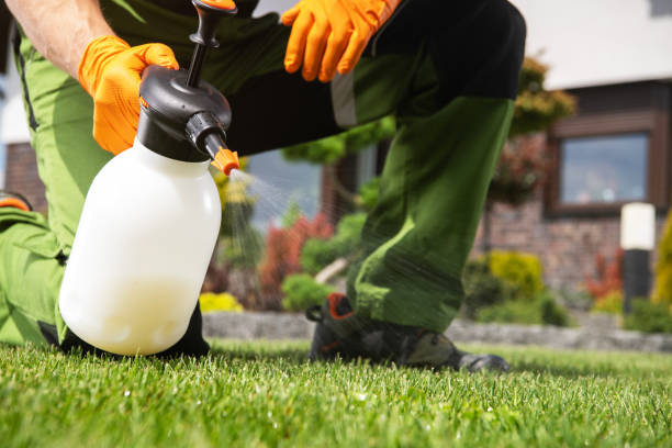 Best Wasp Removal Services  in Nottingham, PA