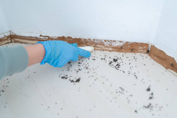 Best Commercial Pest Control Services  in Nottingham, PA