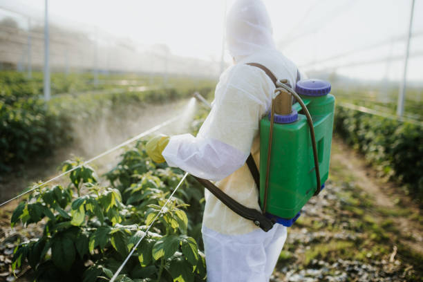 Best Wildlife Control Services  in Nottingham, PA